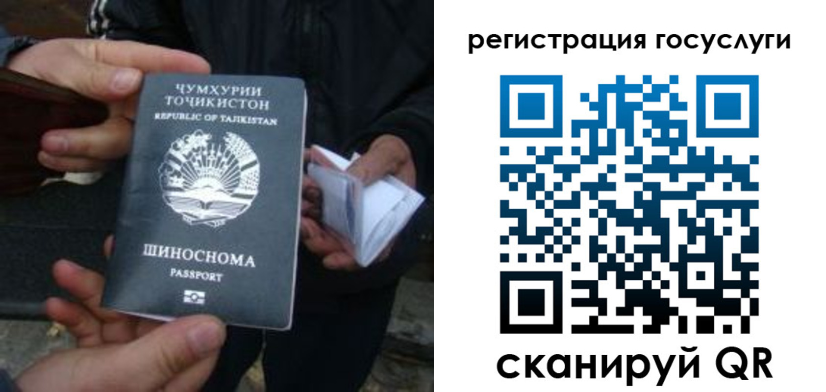 прописка регистрация в Ермолино